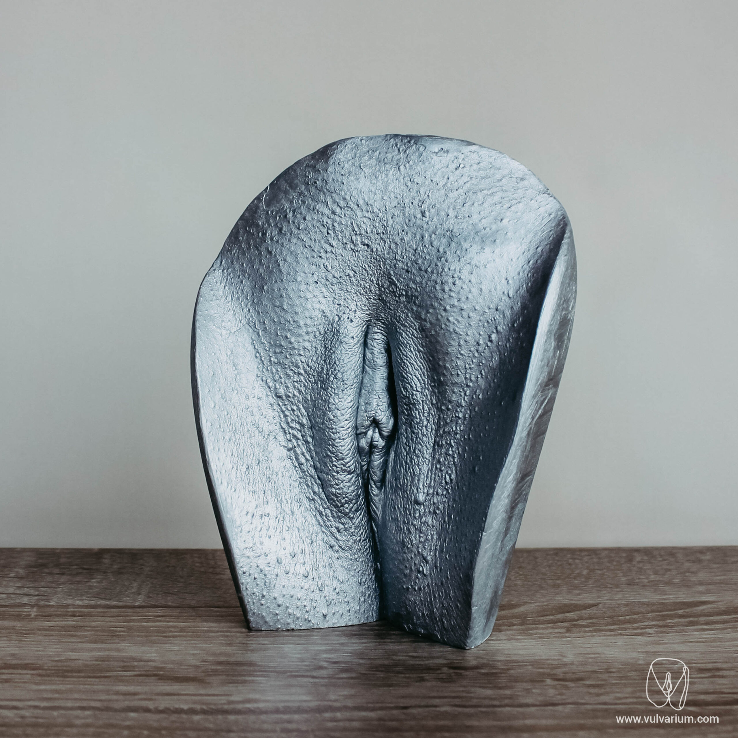 vulva casting - vulvarium