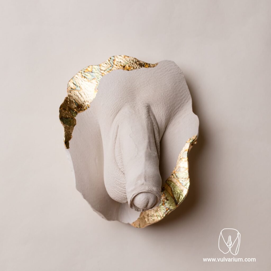 Vulvarium Penis casting7